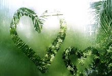 YIHAO-德约科维奇焦点对战，TheShy与50激战西班牙队分钟，夺冠胜负难料！